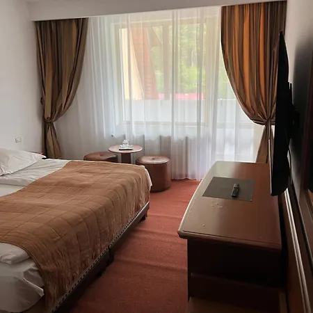 Hotel Hotel-restaurant Siesta Balea 3*