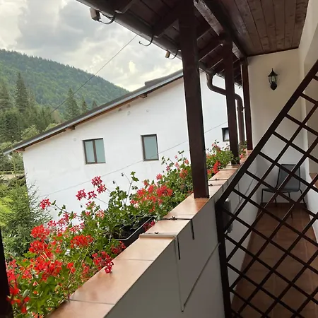 Hotel Hotel-restaurant Siesta Balea